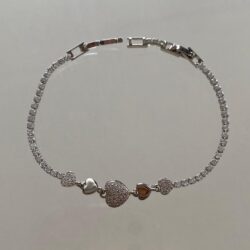 whatsapp image 2025 10 28 at 22.42.20 (2)