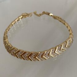 whatsapp image 2025 11 15 at 22.29.13