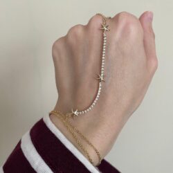 Deniz Yıldızı Şahmeran